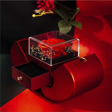 Fashion Jewelry Box Red Apple Christmas Necklace