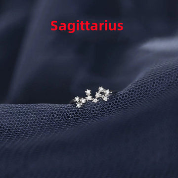Zodiac Sign Silver Ring For Birthdays
