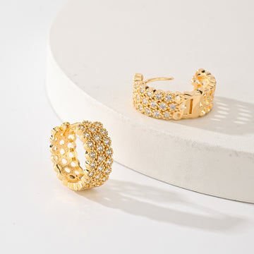 Popular Fashion New Earrings Exquisite Design