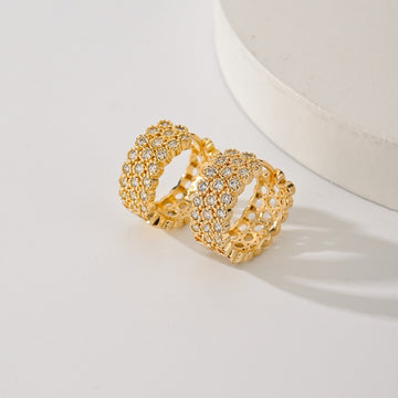 Popular Fashion New Earrings Exquisite Design