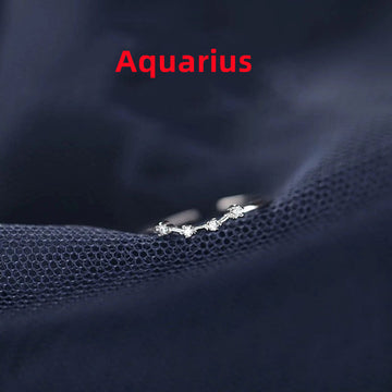 Zodiac Sign Silver Ring For Birthdays