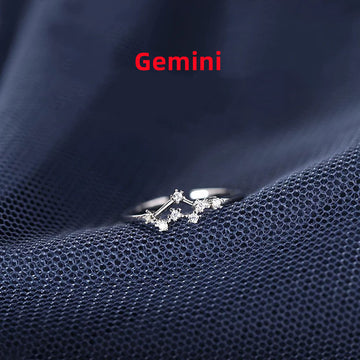 Zodiac Sign Silver Ring For Birthdays