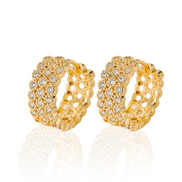 Popular Fashion New Earrings Exquisite Design
