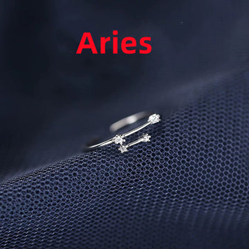 Zodiac Sign Silver Ring For Birthdays