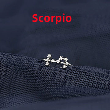 Zodiac Sign Silver Ring For Birthdays