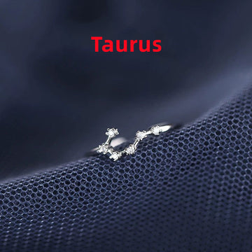Zodiac Sign Silver Ring For Birthdays